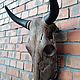 Состаренный череп большого быка. Маски интерьерные. Семен Белый       (Skulls Workshop). Ярмарка Мастеров.  Фото №8