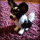 Chihuahua, Stuffed Toys, Moscow,  Фото №1