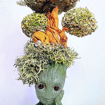 Цветы и флористика ручной работы. Ярмарка Мастеров - ручная работа Грут ученик с деревом из цетрарии бесстыдницей. Handmade.