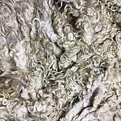 Материалы для творчества handmade. Livemaster - original item Fleece Teeswater. White. 25-30 cm. England. wool for felting.. Handmade.