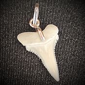 Украшения handmade. Livemaster - original item Pendant: Shark Tooth Pendant. Handmade.