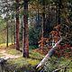  Cozy forest _ Landscape maslom Chernov. Pictures. VladimirChernov (LiveEtude). My Livemaster. Фото №4