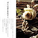 "Лица цветов, лица трав", Yamagami Rui. Книги. ARTA PUBLISHING. Ярмарка Мастеров.  Фото №4
