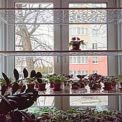 Цветы и флористика handmade. Livemaster - original item Openwork collapsible shelf (violets, succulents, seedlings). Handmade.