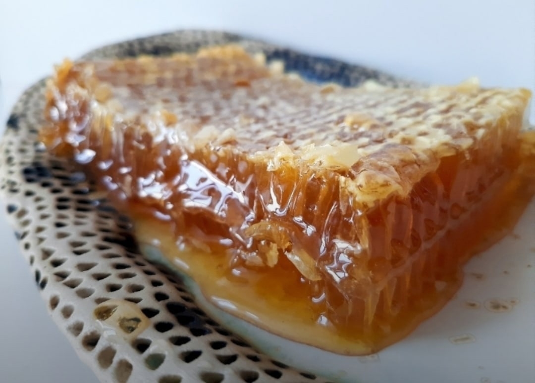 Мой профиль