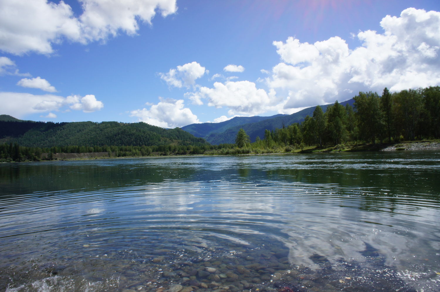 Катунь. 