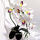 La flor de la lámpara de la orquídea phalaenopsis blanca, Table lamps, Surgut,  Фото №1