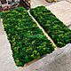 Заказать Панель из стабилизированного мха. Green.Box. Ярмарка Мастеров. . Фитокартины Фото №3