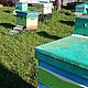 Натуральный мед цветочный луговой дикий липовый 3 литра. Мед. ВИНТАЖ СУНДУК. Ярмарка Мастеров.  Фото №6