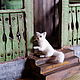 Order White Cat Miniature Dollhouse Toy. AnzhWoolToy (AnzhelikaK). Livemaster. . Miniature figurines Фото №3
