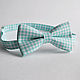 Mint butterfly tie in the box for weddings in mint color or other special celebrations
