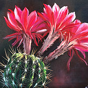Картины и панно handmade. Livemaster - original item Pictures: Flowering cactus. Print.. Handmade.
