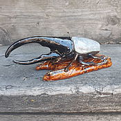Для дома и интерьера handmade. Livemaster - original item Decor wall mounted Ceramic beetle Hercules. Handmade.