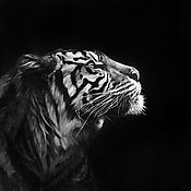 Картины и панно handmade. Livemaster - original item Oil painting with tiger 