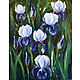 Painting flowers in oil Irises, Pictures, Moscow,  Фото №1
