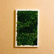Картины и панно handmade. Livemaster - original item Picture of stabilized moss. Handmade.