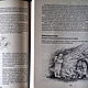 Обучающие материалы: Круглый год. Книги. Alla  (Waldorf doll&toy). Ярмарка Мастеров.  Фото №4