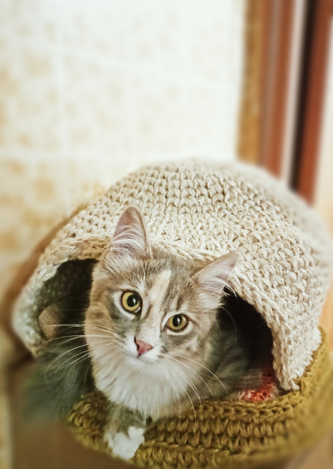 Мой профиль