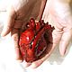 Анатомическое сердце в реальную величину, Сувениры по профессиям, Николаев,  Фото №1