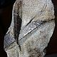 Stavrolite in the shale (large collector's sample) Cave.Kolski s, Minerals, St. Petersburg,  Фото №1