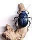 Черный навозный жук. Dung Beetle (фигурка), Статуэтки, Москва,  Фото №1