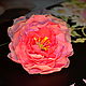 Изысканная заколка-роза из полимерной глины, Цветы, Москва,  Фото №1