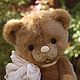 Мишка Тедди Улыбашка Honey, Мишки Тедди, Москва,  Фото №1