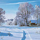 Painting 'Winter' 40 x 60 cm, Pictures, Rostov-on-Don,  Фото №1