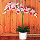 Орхидея из капрона «Белая орхидея», Цветы, Чебоксары,  Фото №1