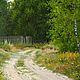 Картина маслом ,Лето в деревне,,Авторская. Картины. художники Марина и Эlen. Интернет-магазин Ярмарка Мастеров.  Фото №2