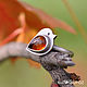 Ring silver Bird Robin, Baltic amber, Rings, Moscow,  Фото №1