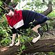 Clothing for cats 'Fleece jacket - Blue with red, white', Pet clothes, Biisk,  Фото №1