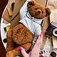 Мишка Тедди в толстовке | Teddy bear in clothes OOAK, Мишки Тедди, Москва,  Фото №1