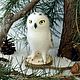 felt toy: Polar owl - interior felted bird made of wool, Felted Toy, Sochi,  Фото №1
