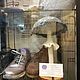  "Magic mushroom". Скульптуры. Татьяна Нестеренко (Netanya). Ярмарка Мастеров.  Фото №6