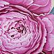 Oil painting Pink peony. Pictures. Sokolova Julia, handmade jewelry. Online shopping on My Livemaster.  Фото №2