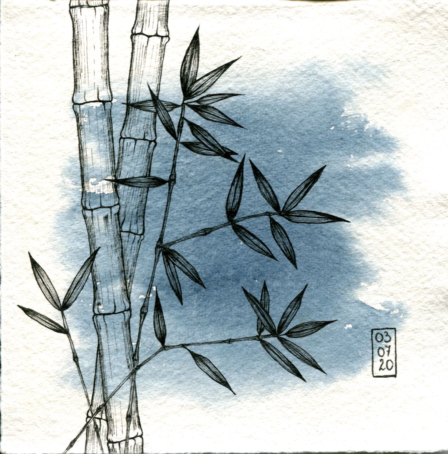 Рисунки бамбука легко