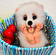 Hedgehog Sonechka, Stuffed Toys, Moscow,  Фото №1