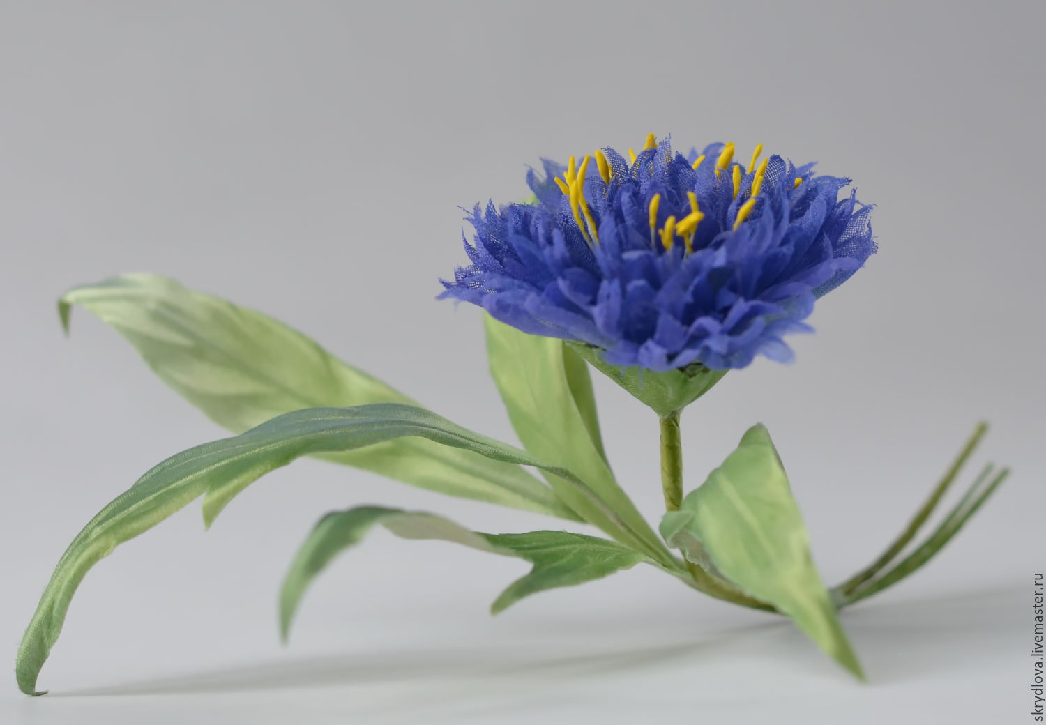 Cornflowers from beads, wildflowers with their own hands (video) Cornflowers from beads, wildflowers with their own hands (video)