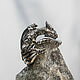 Silver ring in the form of a dragon 'Smaug', Rings, Moscow,  Фото №1
