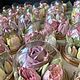 Заказать Зефирные цветы в подарочной упаковке. Пряники  и зефир Морозовой Ольги. Ярмарка Мастеров. . Кулинарные сувениры Фото №3