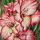 Drawing with colored pencils gladiolus, Pictures, Omsk,  Фото №1