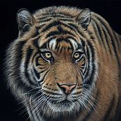 картина пастелью леопард