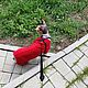 Заказать Одежда для кошек "Комбинезон флис -  "Lady in red". Happy-Sphynx. Ярмарка Мастеров. . Одежда для питомцев Фото №3