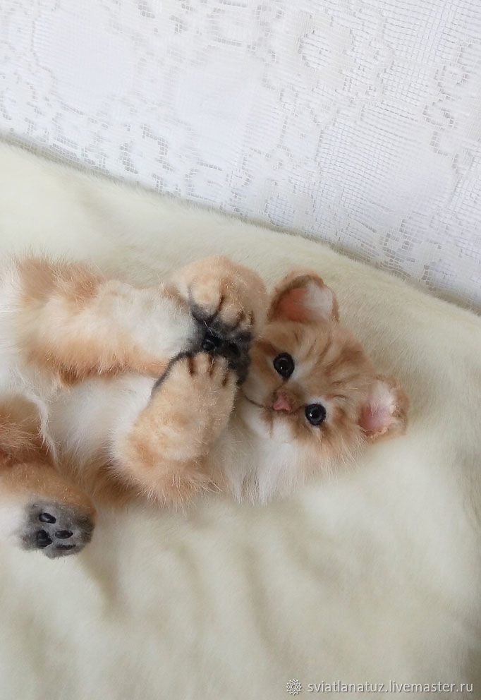 Пушистый котенок Люси, Мягкие игрушки, Калинковичи,  Фото №1