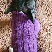 Одежда для питомцев: свитер для собаки