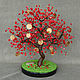 Money tree red coral, Trees, Maikop,  Фото №1