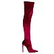 Boots-boots of velvet, High Boots, Barnaul,  Фото №1