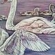 Swan Art Bird Painting White Swan Lake Violet Swan Family Art. Pictures. Netta Plans. Online shopping on My Livemaster.  Фото №2