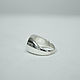 Заказать Кольцо Circle Signet Ring Polished. The Vale of Tears. Ярмарка Мастеров. . Кольцо-печатка Фото №3